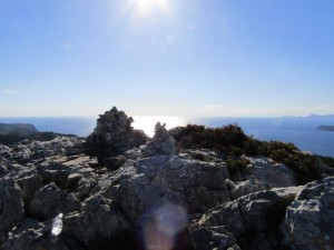 IMG_0161 (Medium)